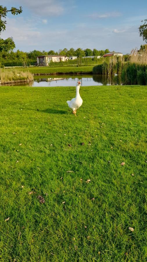 Camping 't Groentje Baarland
